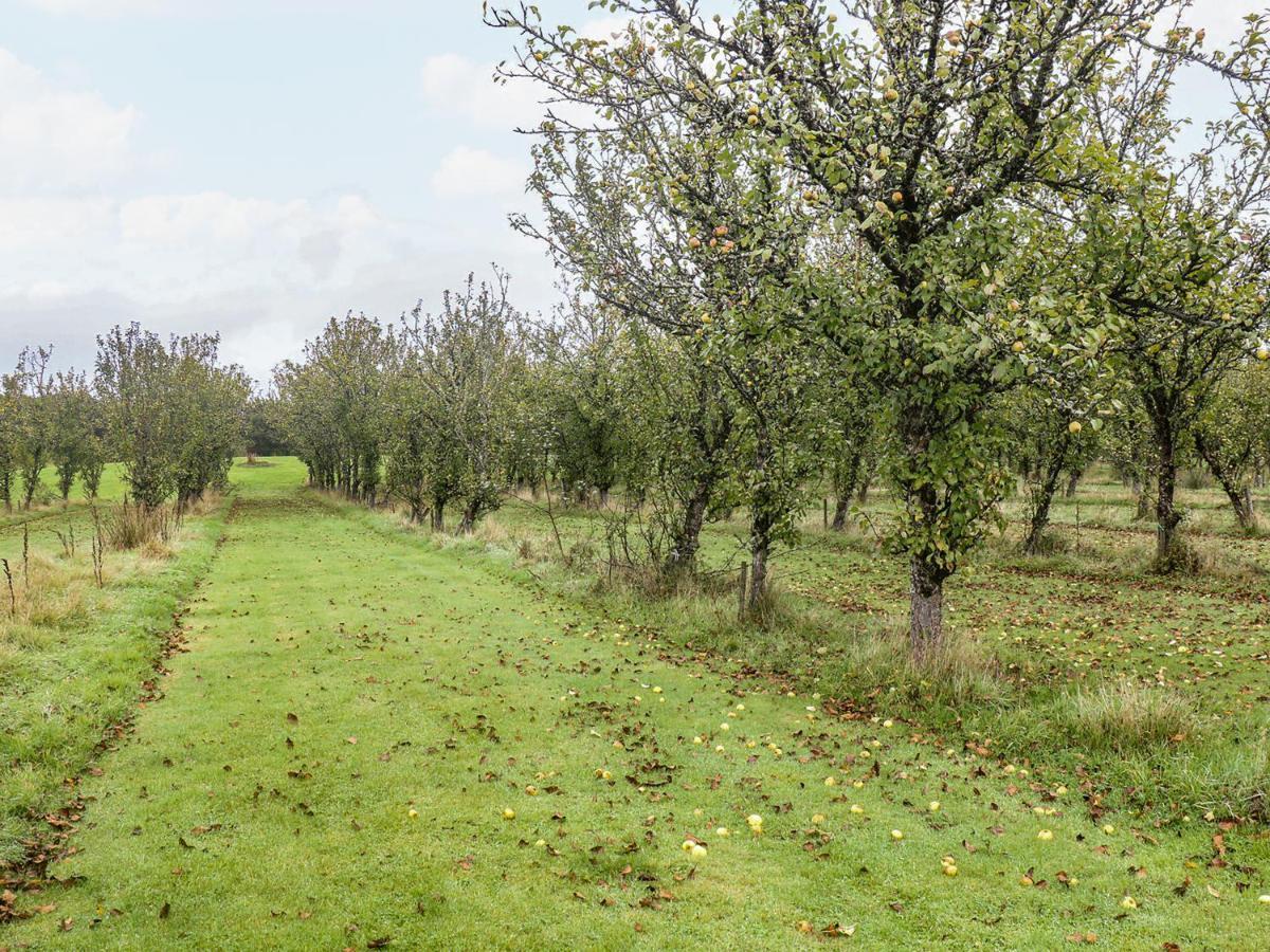 Braeburn LodgeWinkleigh エクステリア 写真